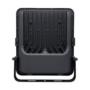borneo-arka-100w.jpg