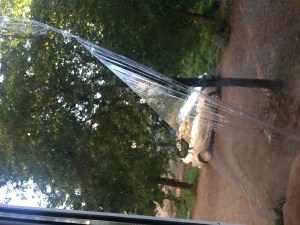 img-4228.jpg