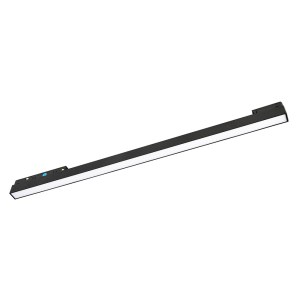 magnet-lm2.jpg