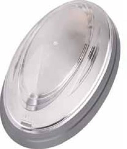 ninovasilver.jpg
