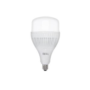 torch-100.jpg