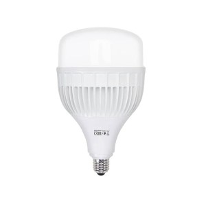 torch-80.jpg