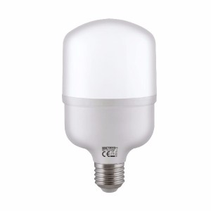 torch20.jpg