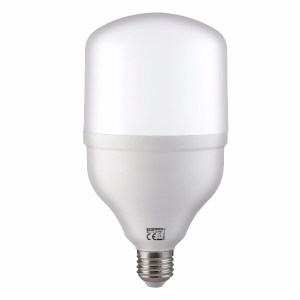 torch30.jpg