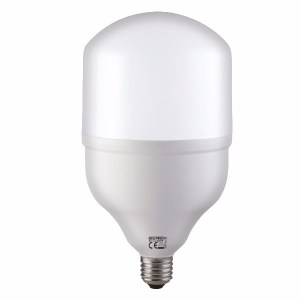 torch40.jpg