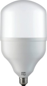 torch50.jpg